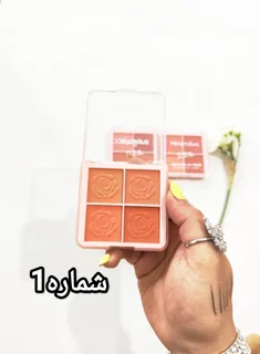 پالت مینی رژگونه 4تایی شماره1